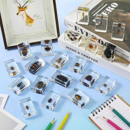 20 Pcs Insect in Resin Bug Preserved Specimen Collection Paperweights Resin Insects Various Insect Specimen for Office Men Women Biology Science Teacher Education Bug Collection Supplies (Insect)