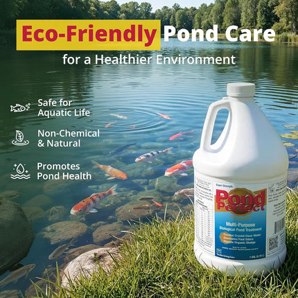 PondPerfect 30010 Multi Purpose Biological Pond Treatment 32-Ounce