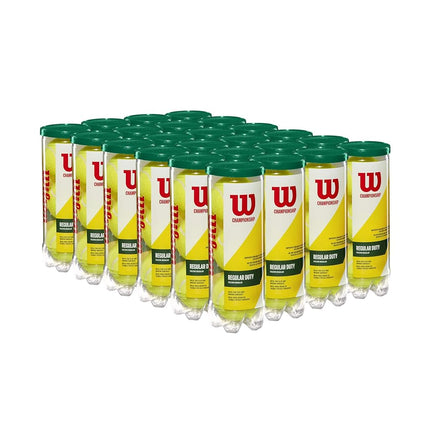 WILSON Championship Tennis Balls - Regular Duty, 2
