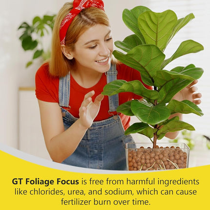Growth Technology 1L Concentrated Liquid Foliage Focus for Non Flowering Plants