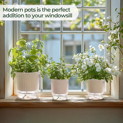 T4U Self Watering Planter, 6 Inch Orchid Pot for Plant Indoor Outdoor, Plastic Self Watering Pots with Deep Reservoir, Plant Pots for All House Plants, Flowers, African Violets, 4 Pack,Transparent