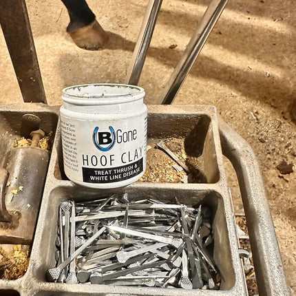 B Gone Hoof Clay - Official Store, for Equestrians, Horses with Whiteline Disease, Seedy Toe, Horse Care, White Line Prevention, Easy Apply Clay
