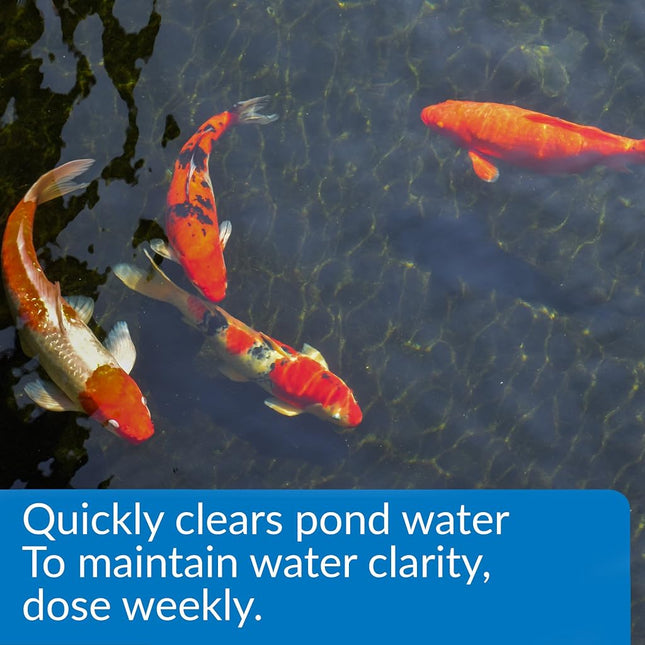 API Pond ACCU-Clear Pond Water Clarifier 64-Ounce Bottle (142D)