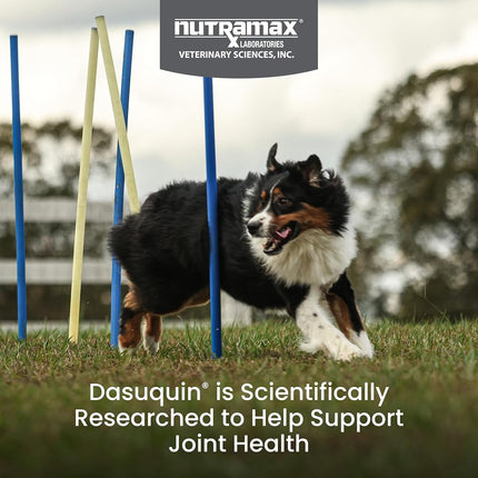 Nutramax Dasuquin with MSM Chewables, Large Dog, 84 Count