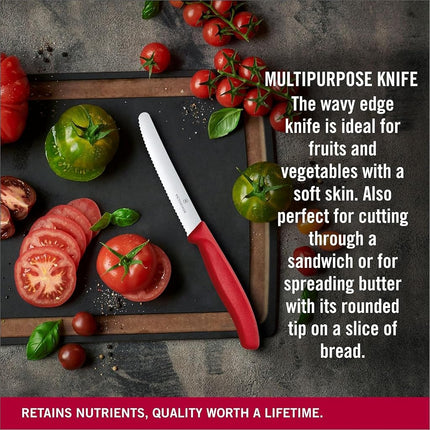 Victorinox Swiss Stainless Steel 6 Piece Round 4.5 Inch Serrated Steak Knife Set with Green, Orange, Pink, Yellow, Red, and Blue Fibrox Handles