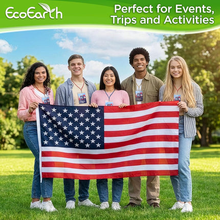 EcoEarth Passport Holder, Extra Large Vertical ID Holder, Zipperless Plastic Badge Holders (Clear, 4x6 Inch, 250 Pack)