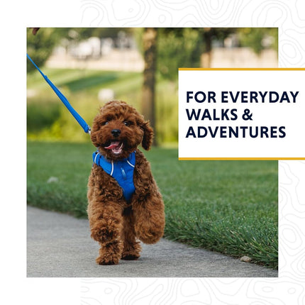 Ruffwear Front Range Dog Lead, No Pull 1.5m Dog Leash with Padded Handle, Lightweight & Heavy Duty Dog Lead, Anti Tangle Dog Walking & Anti Pull Dog Training Lead, Reef Fish