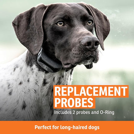 SportDOG Brand Long Contact Points – 5/8 Inch Replacement Probes for SportDOG E-Collars - Longer Length for Thick Coats