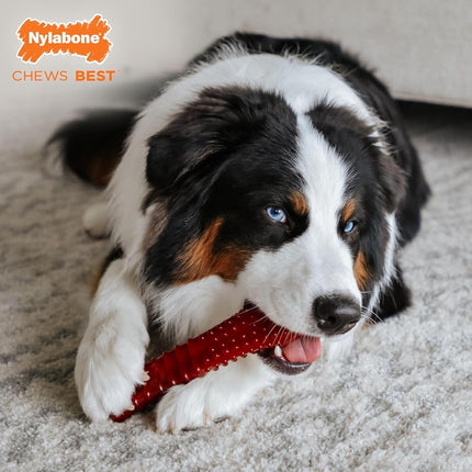 Nylabone Basted Blast Textured Bone Power Chew Toy for Dogs, Dog Toys for Aggressive Chewers, Bacon and Steak Flavor, X-Large - 50+ lbs, 1 Count