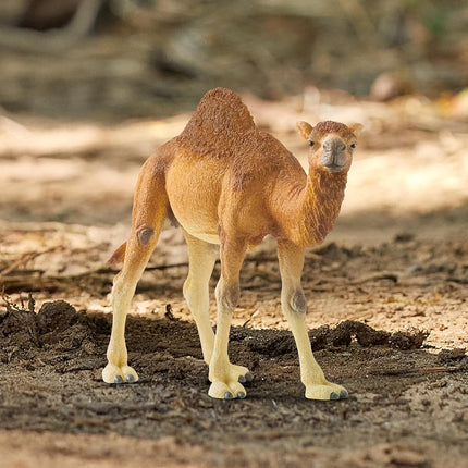Schleich Wild Life - Dromedary - Camel Toy Figurine - Kids Ages 3+ | 14832