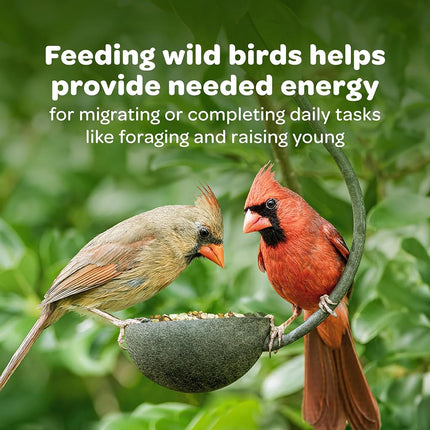 Kaytee Products Wild Bird 100033730 Kaytee Wild Finch Food 5 Pound