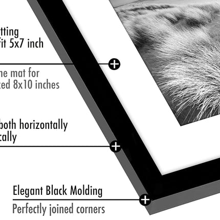 Americanflat 8x10 Photo Frame with Polished Plexi Cover - Set of 5 - Use as 7x5 Photo Frames with Mount or 10x8 Without Mount for Tabletop and Gallery Wall Display - Black