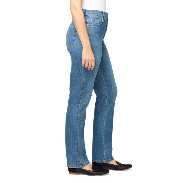 Gloria Vanderbilt Women's Amanda Classic Tapered Jean, Hartford-Whiskers, 18 Plus