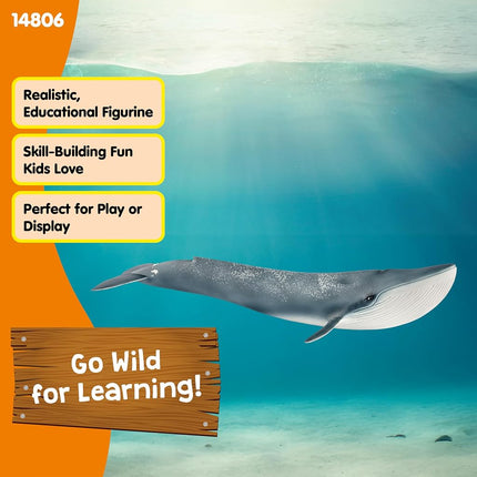 Schleich Wild Life 14806 Collectible Blue Whale for Adults & Kids 3+