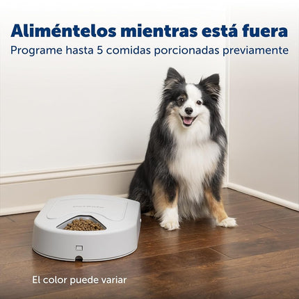 PetSafe 5 Meal Automatic Dog and Cat Feeder, Dispenses Dog Food or cat Food, Digital Clock