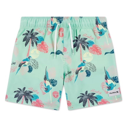 Hurley Boys Pull On Swimshort Boys Green