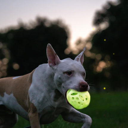 Chew King Large 2pk Lattice Glow Balls