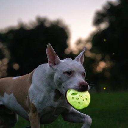 Chew King Large 2pk Lattice Glow Balls