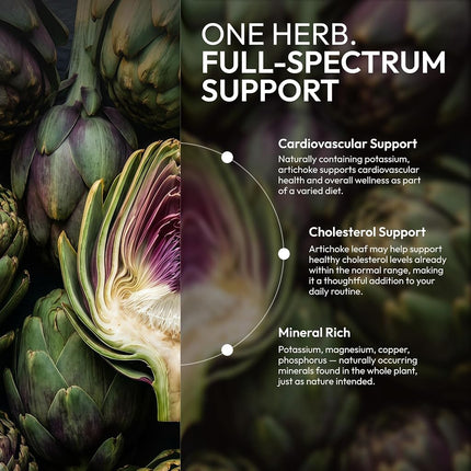 Secrets of the Tribe Artichoke USDA Organic | Alcohol-Free Extract, High-Potency Herbal Drops | Made from 100% Certified Organic Artichoke (Cynara scolymus) Dried Leaf 4 oz