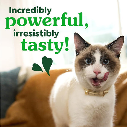 Feline GREENIES Natural Dental Care Cat Treats Oven Roasted Chicken Flavor, 21 oz. Tub
