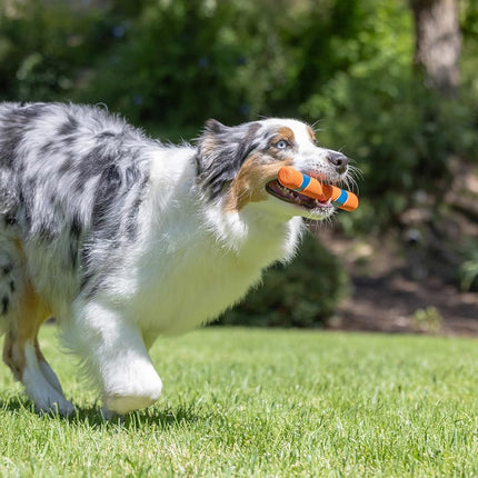 Chuckit! Max Glow Ultra Fetch Stick Outdoor Dog Toy, 12 Inches, for All Breed Sizes
