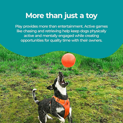 Jolly Pets Bounce-N Play Dog Toy, 15 cm, Orange