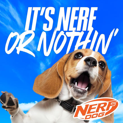 Nerf Dog Jouet à tirer 3 anneaux en TPR de 29 cm – Bleu, Vert et Orange