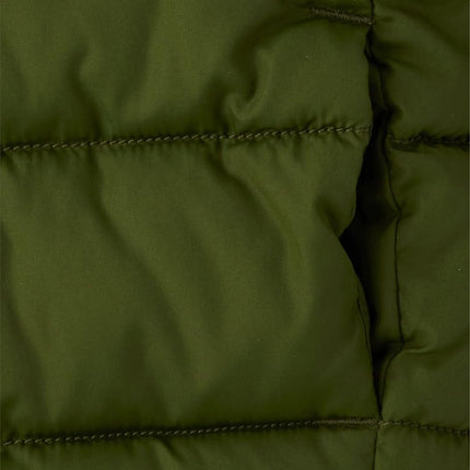 The Children's Place Chaqueta acolchada de peso medio para niños y bebés, resistente al viento, resistente al agua, Dark Ivy, 4T