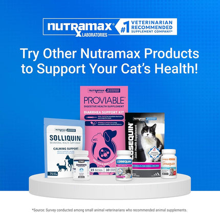 Nutramax Cosequin Joint Health Supplement for Cats - with Glucosamine and Chondroitin, 80 Capsules