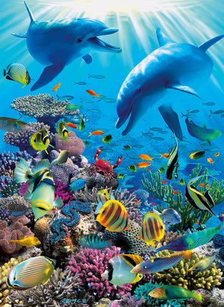 Underwater Adventure