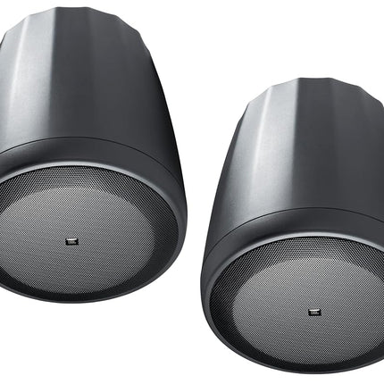 JBL Professional C65P/T Compact Full-Range Hanging