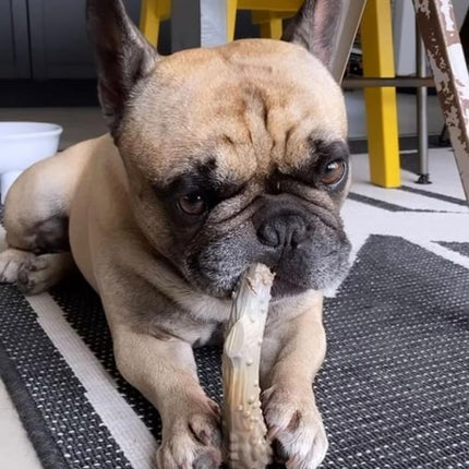 Nylabone Extreme Tough Dog Chew Toy Antler Alternative, Mess-Free, Venison Flavour, Large, for Dogs Upto 23 kg