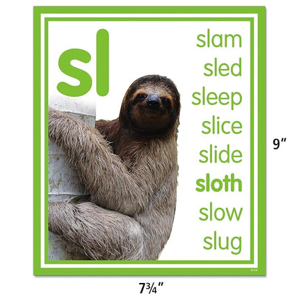 Colorful Photo Cards Digraphs and Blends Bulletin Board