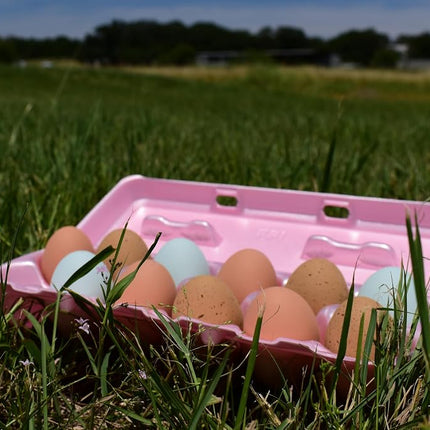 Foam Egg Cartons 25 Pack – Pink – Made in USA – Reusable 12-Egg Cartons for Chicken Eggs