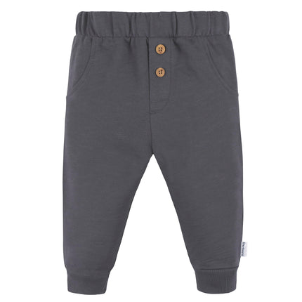 Gerber para bebés-niños Juego de sudadera y joggers para bebés, Little Dude, 24 meses
