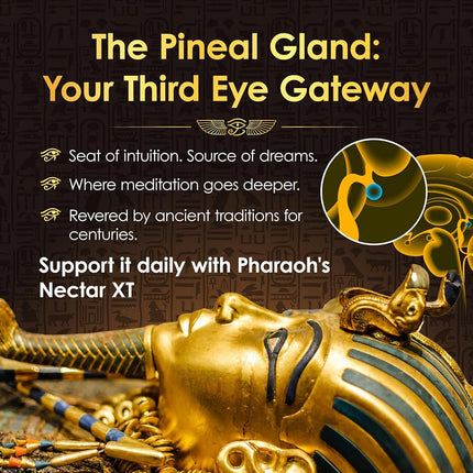 Nutraville Ultra-Pure, 99.9% Liquid Gold - 24K Monoatomic Gold Ormus - Third Eye Awakening, Pineal Gland Decalcification, Awaken DNA, Unlock Light Speed Manifestation - Pharaoh's Nectar XT, 3 Pack