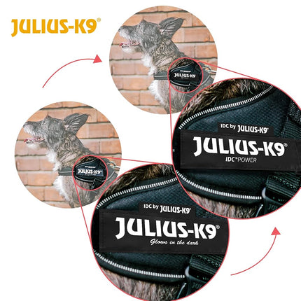 JULIUS-K9 IDC Powerharness, 2XL, no pull dog harness, Neon Green