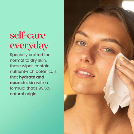 Burt's Bees Facial Cleansing Towelettes, Cucumber & Sage