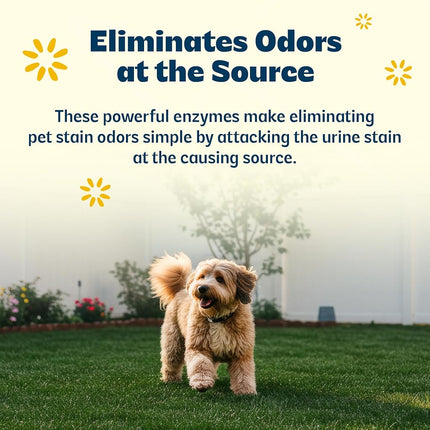 Urine B-Gone Outdoor Enzyme Cleaner for Pet Odors & Turf, 1 Gallon