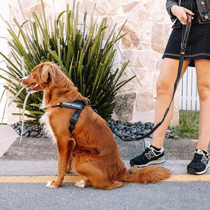 EzyDog Express Harness - Comfortable Dog Harness for Small, Medium and Large Dogs, Easy to Fit, Padded, Reflective (XS, Blue)