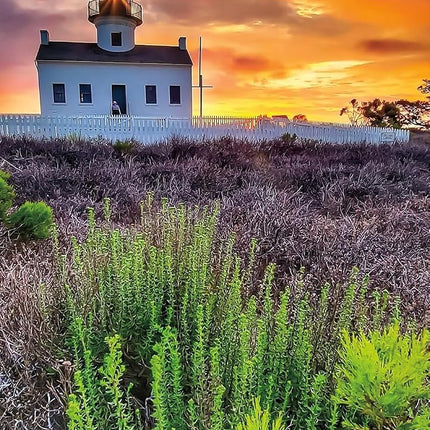 Buffalo Games - Gold - Leading Light - 500 Piece Jigsaw Puzzle for Adults Challenging Puzzle Perfect for Game Nights - 500 Piece Finished Size is 21.25 x 15.00