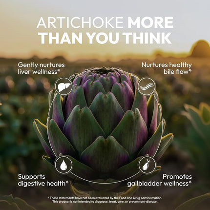 Secrets of the Tribe Artichoke USDA Organic | Alcohol-Free Extract, High-Potency Herbal Drops | Made from 100% Certified Organic Artichoke (Cynara scolymus) Dried Leaf 4 oz