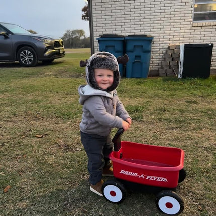 Radio Flyer Push & Pull Walker Wagon, Ages 1-4 Years