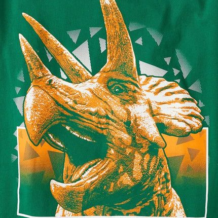 Lot de 2 T-shirts graphiques à manches courtes The Children's Place pour garçons, lot de 2 tricératops/galaxies dinosaures, petite taille
