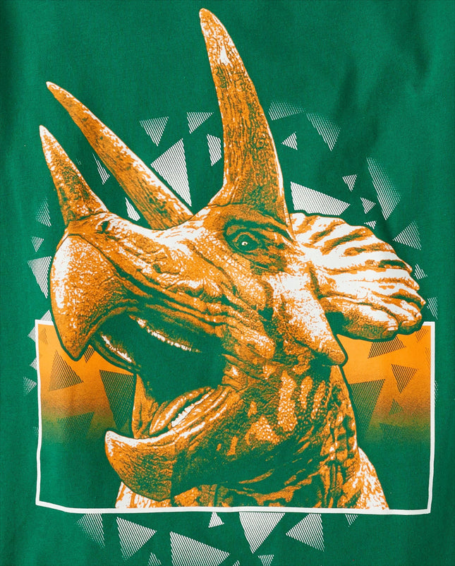 Lot de 2 T-shirts graphiques à manches courtes The Children's Place pour garçons, lot de 2 tricératops/galaxies dinosaures, petite taille