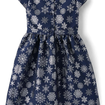 Gymboree Girls' and Toddler Sleeveless Dressy Dress, Blue Snowflake, 12