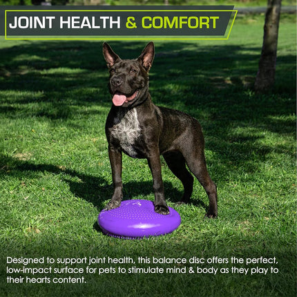 ProSource Core Balance Disc Trainer, 36 cm Diameter with Pump for Improving Posture, Fitness, Stability, Purple