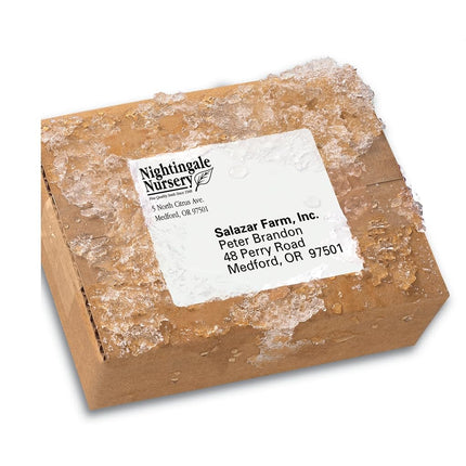 Avery 5524 White Printer Label - Printable Labels (White, Laser, 34 x 102, 300 Pieces, 50 Sheets)