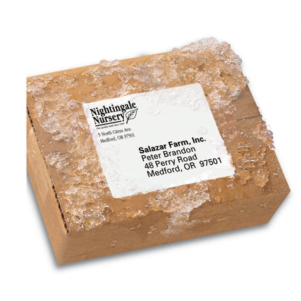 Avery 5524 White Printer Label - Printable Labels (White, Laser, 34 x 102, 300 Pieces, 50 Sheets)