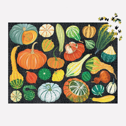 Galison World Of Pumpkins – 1000 Piece Jigsaw Puzzle Featuring Beautiful Painted Artwork Of A Pumpkin And Gourd Collection